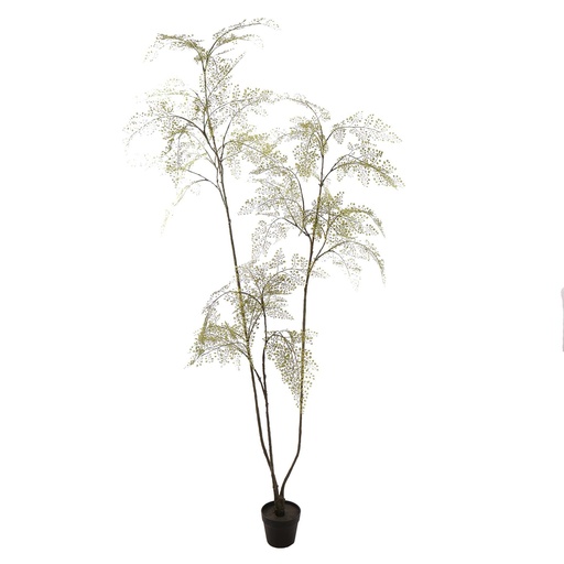 [580769] Jasaco | Sierplant Maiden Hair Plant Green 200cm