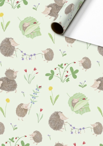 [581124] Stewo | Geschenkpapier Rol Riccio Mint 70x200