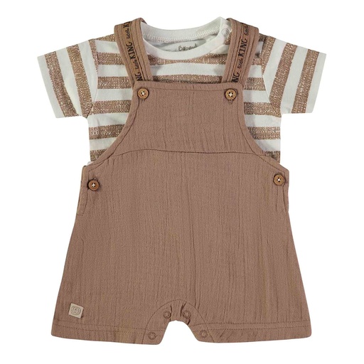 Babybol | Outfit Boys Brown 2-delig