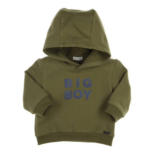 Gymp | Sweater Boys Carbondoux Green