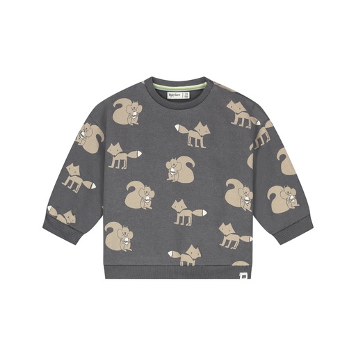 Babyface | Sweater Boys Antra