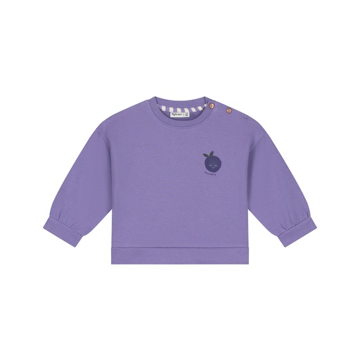 Babyface | Sweater Girls Faded Plum
