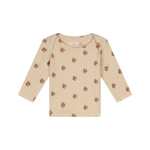 A Tiny Story | T-shirt Boys Longsleeve Beige Melange