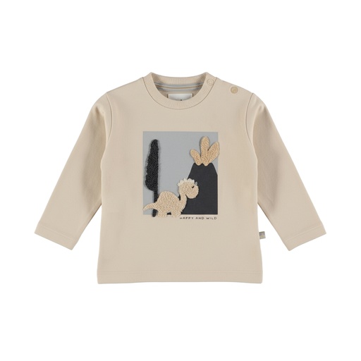 Dirkje | T-shirt Boys Dino Days Longsleeve Angora