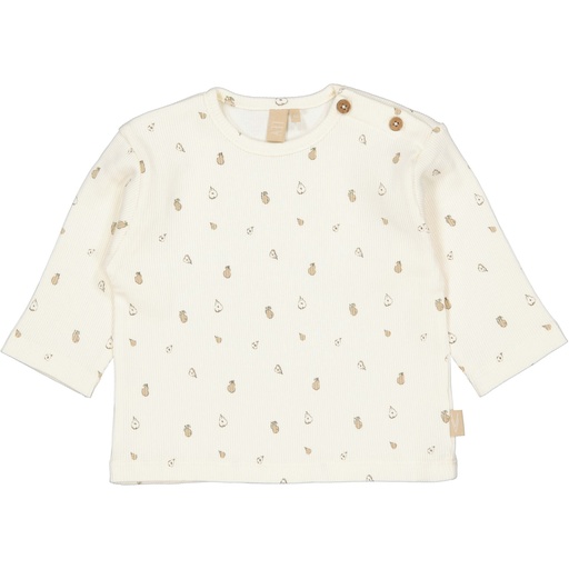 Levv | T-shirt Boys Nate Longsleeve AOP Peer Ecru