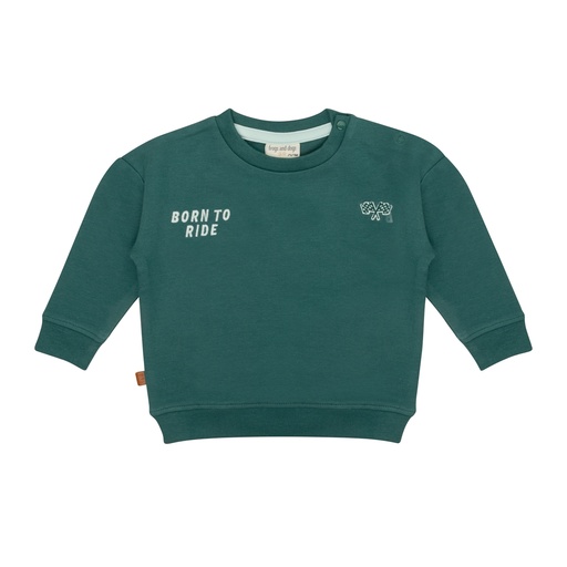 Frogs & Dogs | Sweater Boys Jasper