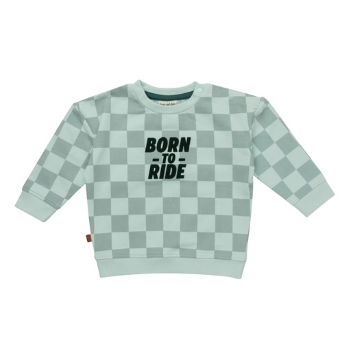 Frogs & Dogs | Sweater Boys Pastel Blue