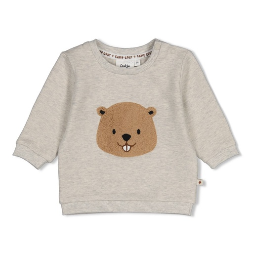 Feetje | Sweater Boys Tiny Timber Tales Grijs Melange