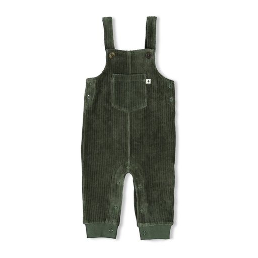Feetje | Salopette Boys Wiggle and Waddle Groen