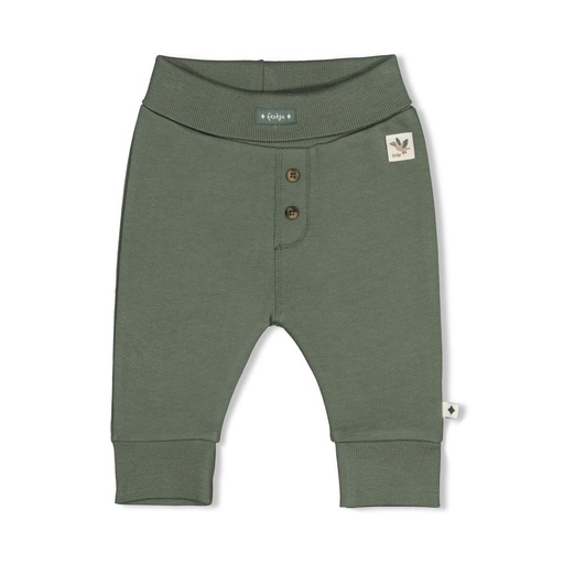 Feetje | Broek Boys Wiggle and Waddle Groen