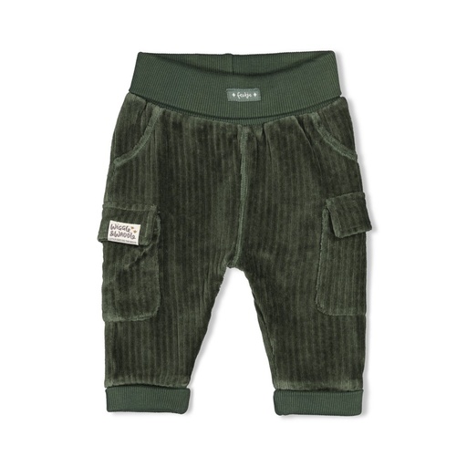 Feetje | Broek Boys Wiggle and Waddle Groen