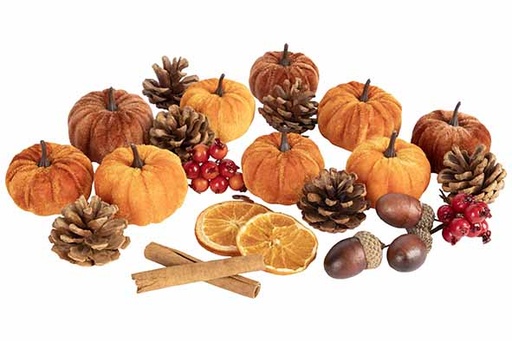 [597822] Cosy & Trendy | Figuur Pompoen/Dennenappels/Fruit/ Strooideco
